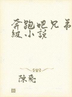 奔跑吧兄弟限制级小说