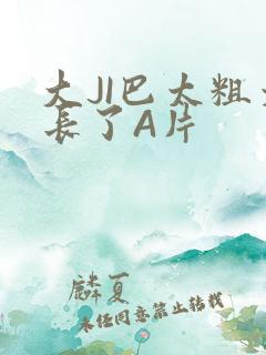 大JI巴太粗太长了A片
