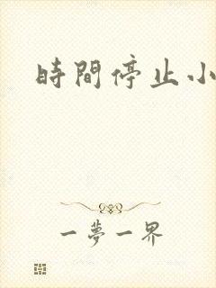 时间停止小说
