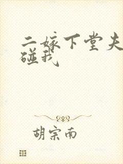 二嫁下堂夫君别碰我