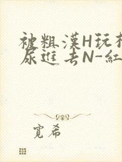 被粗汉H玩松了尿进去N-红-Q