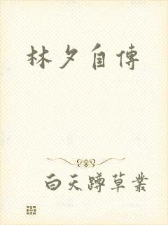林夕自传