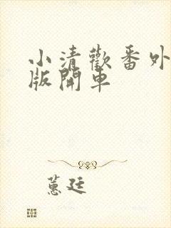 小清欢番外完整版开车