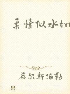 柔情似水txt