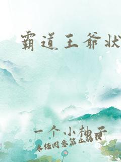 霸道王爷状元妃