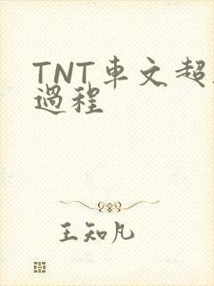 TNT车文超细过程