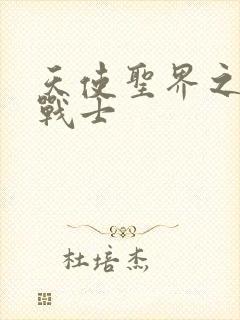 天使圣界之神之战士