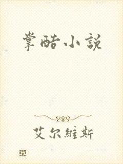 掌酷小说