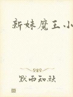 新妹魔王小说