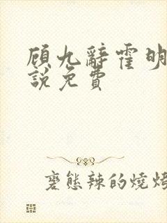 顾九辞霍明澈小说免费