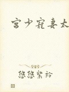 宫少宠妻太凶猛