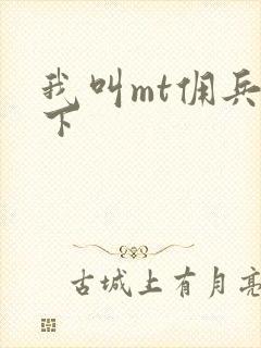 我叫mt佣兵天下