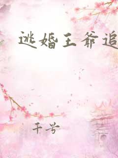 逃婚王爷追逃妃