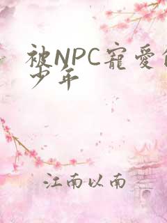 被NPC宠爱的少年