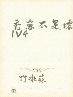 秃崽不是坏女人1V4