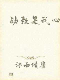 助教是我心尖宠