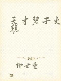 天才儿子火爆娘亲