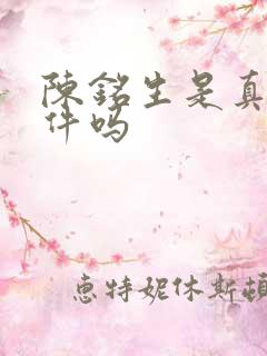 陈铭生是真实事件吗