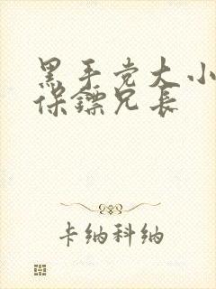 黑手党大小姐和保镖兄长