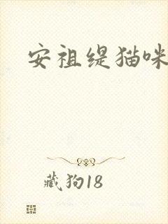 安祖缇猫咪抱抱