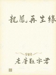 龙凤再生缘