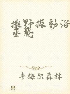 撒野振动浴缸车丞飞