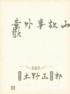 意外事故山月辞欢