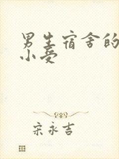 男生宿舍的公共小受