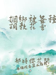 捆绑被各种工具调教花蒂