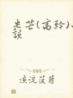 光芒(高干)小说