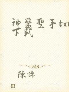神医圣手txt下载