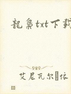龙枭txt下载