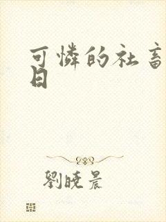 可怜的社畜东度日