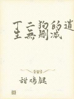 丁二狗的逍遥人生无删减