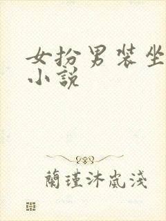 女扮男装坐江山小说