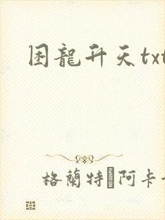 困龙升天txt