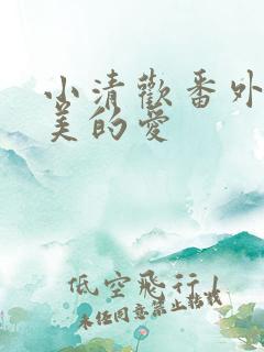 小清欢番外篇完美的爱