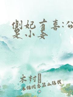 侧妃有喜:公主是小妾