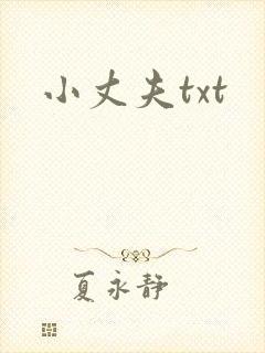 小丈夫txt