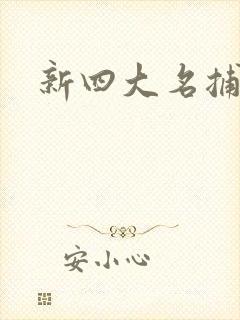 新四大名捕全集