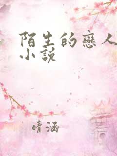 陌生的恋人原著小说