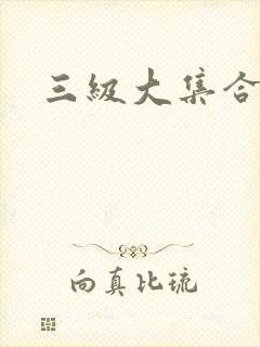 三级大集合