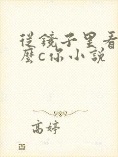 从镜子里看我怎么c你小说