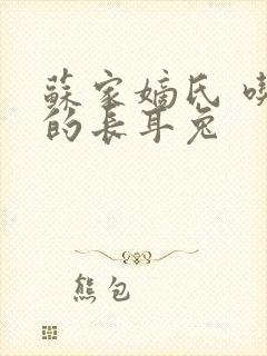 苏家嫡氏 吃肉的长耳兔