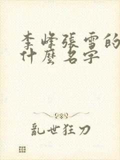 李峰张雪的书叫什么名字