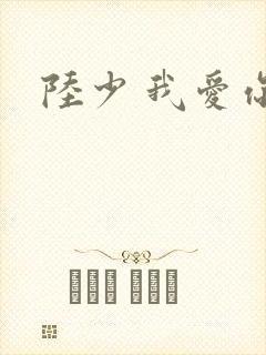 陆少 我爱你