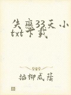 失恋33天小说txt下载