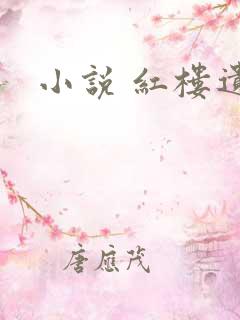 小说 红楼遗秘