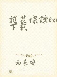 护花保镖txt下载