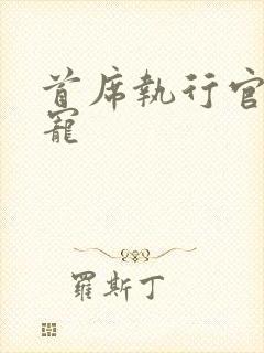 首席执行官的绝宠